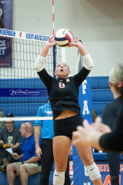 Girls Volleyball Franklin at West Henderson (BR3_3491) Girls Volleyball Franklin at West Henderson (BR3_3491)