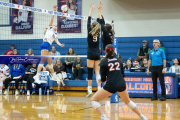 Girls Volleyball Franklin at West Henderson (BR3_3604) Girls Volleyball Franklin at West Henderson (BR3_3604)