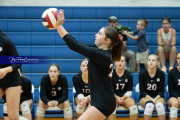 Girls Volleyball Franklin at West Henderson (BR3_3692) Girls Volleyball Franklin at West Henderson (BR3_3692)