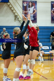 Girls Volleyball Franklin at West Henderson (BR3_3854) Girls Volleyball Franklin at West Henderson (BR3_3854)