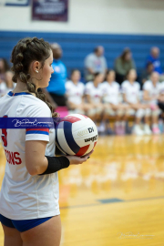 Girls Volleyball Franklin at West Henderson (BR3_3861) Girls Volleyball Franklin at West Henderson (BR3_3861)