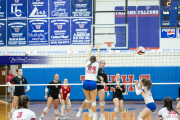 Girls Volleyball Franklin at West Henderson (BR3_3903) Girls Volleyball Franklin at West Henderson (BR3_3903)
