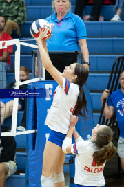 Girls Volleyball Franklin at West Henderson (BR3_4332) Girls Volleyball Franklin at West Henderson (BR3_4332)