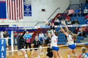 Girls Volleyball Franklin at West Henderson (BR3_4392) Girls Volleyball Franklin at West Henderson (BR3_4392)