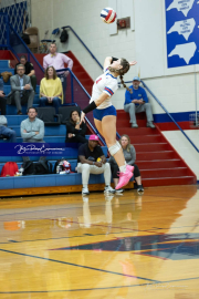 Girls Volleyball Franklin at West Henderson (BR3_4551) Girls Volleyball Franklin at West Henderson (BR3_4551)