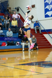 Girls Volleyball Franklin at West Henderson (BR3_4552) Girls Volleyball Franklin at West Henderson (BR3_4552)
