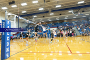 Girls Volleyball Franklin at West Henderson (BR3_4714) Girls Volleyball Franklin at West Henderson (BR3_4714)