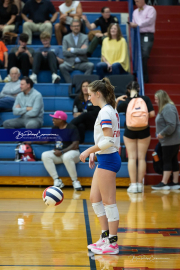 Girls Volleyball Franklin at West Henderson (BR3_4866) Girls Volleyball Franklin at West Henderson (BR3_4866)
