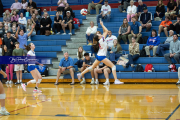 Girls Volleyball Franklin at West Henderson (BR3_4943) Girls Volleyball Franklin at West Henderson (BR3_4943)