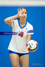 Girls Volleyball Franklin at West Henderson (BR3_5123) Girls Volleyball Franklin at West Henderson (BR3_5123)