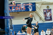 Girls Volleyball Franklin at West Henderson (BR3_5283) Girls Volleyball Franklin at West Henderson (BR3_5283)
