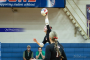 Girls Volleyball Franklin at West Henderson (BR3_5303) Girls Volleyball Franklin at West Henderson (BR3_5303)