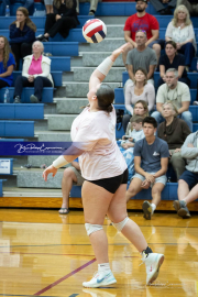 Girls Volleyball Brevard at West Henderson (BR3_2680)