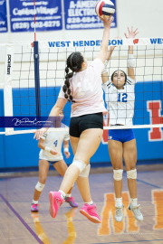 Girls Volleyball Brevard at West Henderson (BR3_2774)