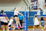 Girls Volleyball Brevard at West Henderson (BR3_2820)