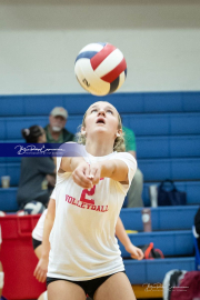 Girls Volleyball Brevard at West Henderson (BR3_2854)