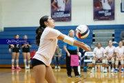 Girls Volleyball Brevard at West Henderson (BR3_2870)