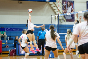 Girls Volleyball Brevard at West Henderson (BR3_2903)