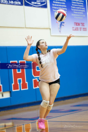 Girls Volleyball Brevard at West Henderson (BR3_2915)