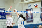 Girls Volleyball Brevard at West Henderson (BR3_2982)