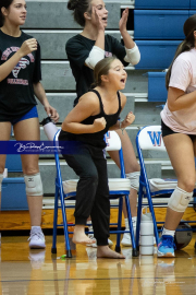 Girls Volleyball Brevard at West Henderson (BR3_3057)