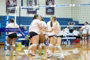 Girls Volleyball Brevard at West Henderson (BR3_3078)