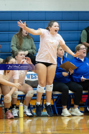 Girls Volleyball Brevard at West Henderson (BR3_3106)