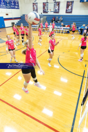Volleyball Smoky Mountain v West Henderson (BR3_7651)
