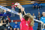 Volleyball Smoky Mountain v West Henderson (BR3_8027)
