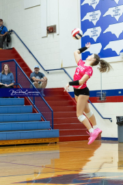 Volleyball Smoky Mountain v West Henderson (BR3_8054)