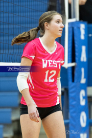 Volleyball Smoky Mountain v West Henderson (BR3_8095)