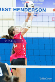 Volleyball Smoky Mountain v West Henderson (BR3_8219)