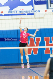 Volleyball Smoky Mountain v West Henderson (BR3_8287)