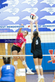 Volleyball Smoky Mountain v West Henderson (BR3_8299)