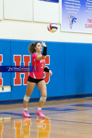Volleyball Smoky Mountain v West Henderson (BR3_8384)