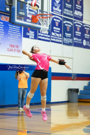 Volleyball Smoky Mountain v West Henderson (BR3_8391)