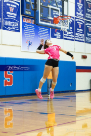 Volleyball Smoky Mountain v West Henderson (BR3_8401)