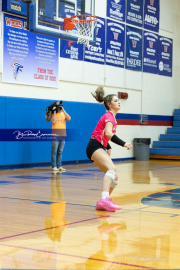 Volleyball Smoky Mountain v West Henderson (BR3_8416)