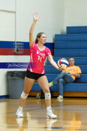 Volleyball Smoky Mountain v West Henderson (BR3_8515)
