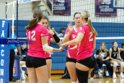 Volleyball Smoky Mountain v West Henderson (BR3_8549)