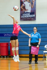 Volleyball Smoky Mountain v West Henderson (BR3_8585)