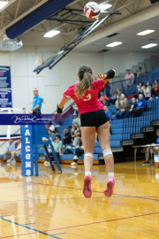 Volleyball Smoky Mountain v West Henderson (BR3_8649)