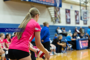 Volleyball Smoky Mountain v West Henderson (BR3_8763)