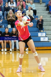 Volleyball Smoky Mountain v West Henderson (BR3_9513)