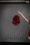 HHS Fall Cheer Senior Banners (BRE_3005)