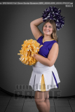NHHS Fall Cheer Senior Banners (BRE_8556) NHHS Fall Cheer Senior Banners (BRE_8556)