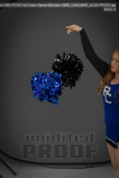 PCHS Fall Cheer Senior Banners (BRE_1016) PCHS Fall Cheer Senior Banners (BRE_1016)