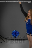 PCHS Fall Cheer Senior Banners (BRE_1020) PCHS Fall Cheer Senior Banners (BRE_1020)