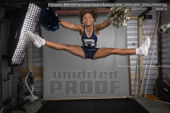 TCR Fall Cheer Senior Banners (BRE_2994)