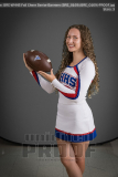 WHHS Fall Cheer Senior Banners (BRE_0169)